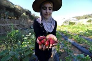 Algerian women are pioneers in organic farming