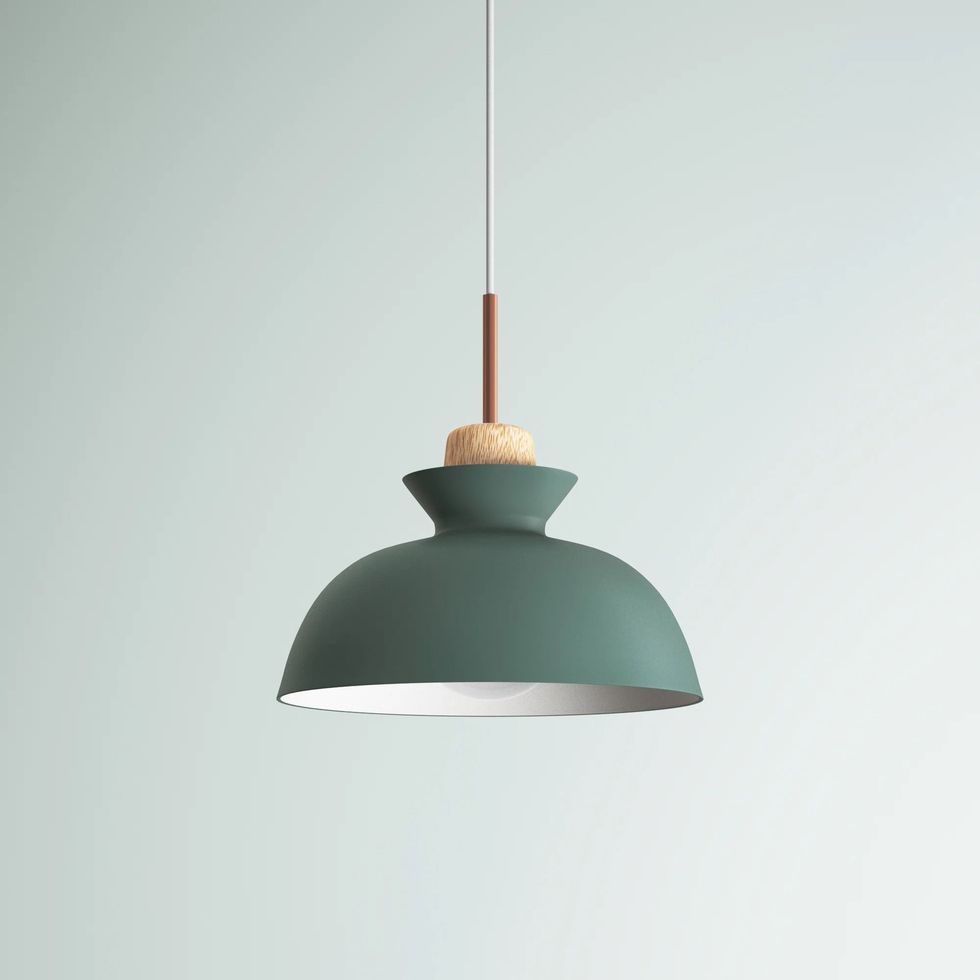 Brashear 1 - Single dome pendant with light