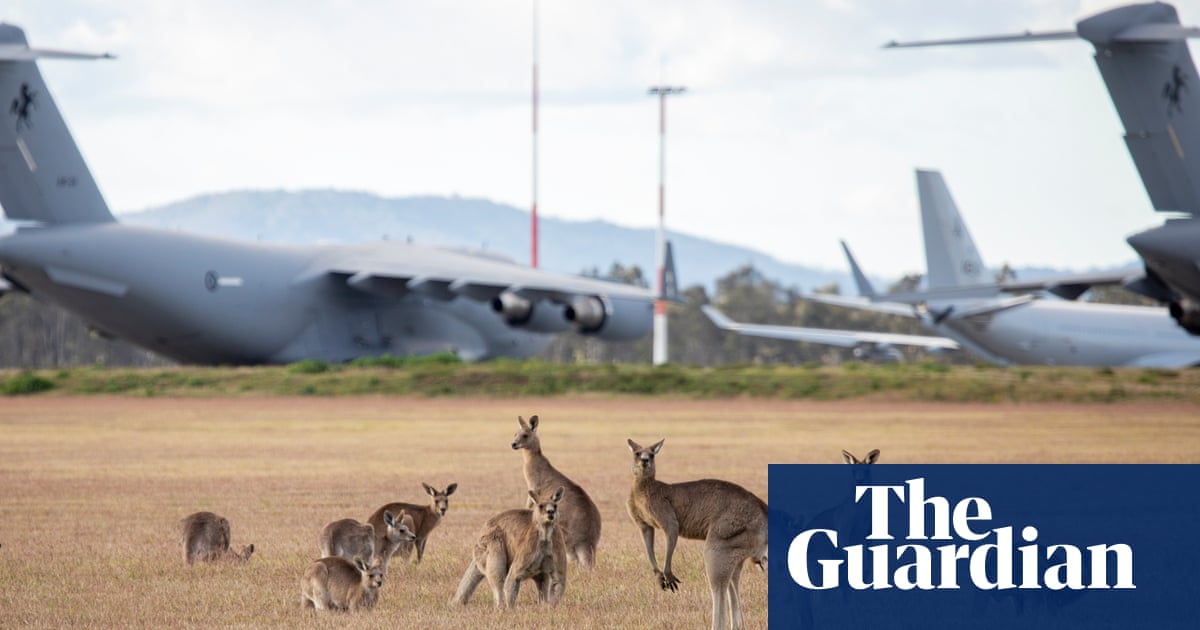 Fire ants could spread to Australian military bases due to ‘massive surveillance failure’, experts say |  Invasive species