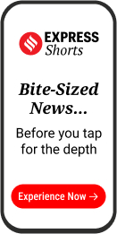 short insert article