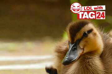 Joke of the Night for June 20, 2024: The best jokes to keep you laughing all day